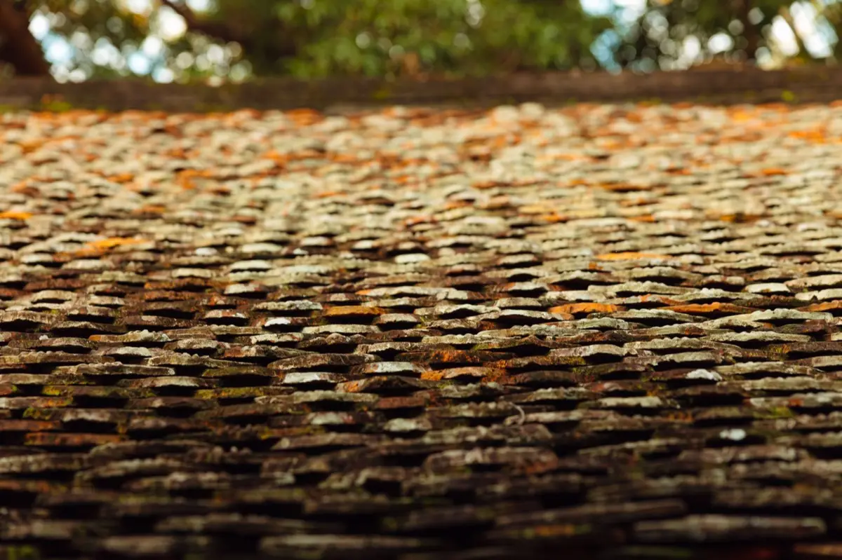 Roof Leak Repair in Waco, TX